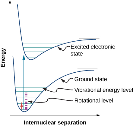 Figure shows a graph of energy versus internuclear separation. There are two curves on the graph. The curve at the bottom is labeled ground state and the one at the top is labeled excited electronic state. Both are similar in shape, with a sharp dip to a trough, followed by a slow rise till the curve evens out. The ground state curve has five horizontal blue lines bounded by the curve, which look like rungs of a ladder. These are labeled vibrational energy level. Between two blue rungs are smaller purple rungs labeled rotational level. There are four such purple rungs each, between the first and second blue rungs, the second and third blue rungs and the third and fourth blue rungs. There is an arrow pointing up from the center of the trough. To the left of this arrow is a smaller arrow pointing up. This extends from the first purple rung of the first blue rung to the second purple rung of the second blue rung. The excited state curve has four blue rungs.