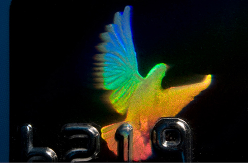 Photograph of a hologram on a credit card. It is in the shape of a bird and reflects many colours.