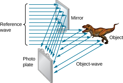 顶部的镜子朝左，底部的照相板朝右。 带有恐龙标签的物体位于镜子下方，右边。 标有参考波的平行光线从左侧进入。 有些落在镜子上，反射到照相板上。 一些掉落在物体上会被反射到照片板上。 后者被标记为物体波浪。