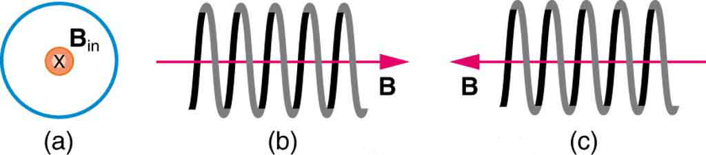 A Figura a mostra o campo magnético na página no meio de um loop. A Figura b mostra o campo magnético dentro de uma bobina que vai da esquerda para a direita. A Figura c mostra B correndo da direita para a esquerda dentro de uma bobina.