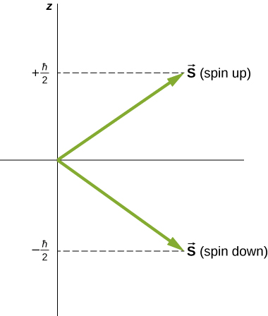 Os dois possíveis estados de rotação do elétron são ilustrados como vetores de igual comprimento, um apontando para cima e para a direita, representando o vetor S spin up, e o outro apontando para baixo e para a direita, representando spin down. Os dois vetores estão no mesmo ângulo em relação à horizontal. Spin up tem um componente z de mais h bar sobre dois, e spin down tem um componente z de menos h bar sobre 2.