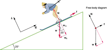 A skier is skiing down the slope and the slope makes a twenty-five degree angle with the horizontal. Her weight W, shown by a vector vertically downward, breaks into two components—one is W parallel, which is shown by a vector arrow parallel to the slope, and the other is W perpendicular, shown by a vector arrow perpendicular to the slope in the downward direction. Vector N is represented by an arrow pointing upward and perpendicular to the slope, having the same length as W perpendicular. Friction vector f is represented by an arrow along the slope in the uphill direction. IIn a free-body diagram, the vector arrow W for weight is acting downward, the vector arrow for f is shown along the direction of the slope, and the vector arrow for N is shown perpendicular to the slope.