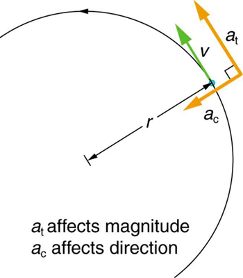 Na figura, um semicírculo é desenhado, com seu raio r, mostrado aqui como um segmento de linha. O movimento anti-horário do círculo é mostrado com uma seta no caminho do círculo. O vetor de velocidade tangencial, v, do ponto, que está no ponto de encontro do raio com o círculo, é mostrado como uma seta verde e a aceleração linear, um sub t é mostrado como uma seta amarela na mesma direção ao longo de v. A aceleração centrípeta, a sub c, também é mostrada como uma seta amarela desenhada perpendicularmente para um subt, em direção à direção do centro do círculo. Um rótulo nas figuras afirma que um sub t afeta a magnitude e um sub c afeta a direção.
