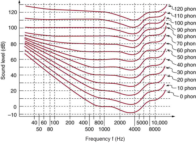 Um gráfico da variação do nível do som versus frequência é mostrado. O nível do som está ao longo do eixo Y e a frequência está ao longo do eixo X. Existem treze curvas cada, para alguns contam com fons de zero a cento e vinte com um intervalo de dez. Os gráficos têm formato semelhante, mas aumentam de valor com o aumento dos fons. O gráfico tem uma queda inicial do valor máximo no eixo Y atinge o mínimo e, em seguida, há um aumento ondulado.