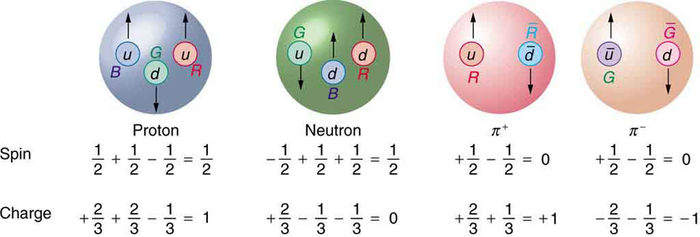 A figura mostra quatro esferas que são rotuladas como próton, nêutron, píon positivo e píon negativo. A esfera de prótons contém um quark azul com spin up, um green down quark com spin down e um quark vermelho up com spin up. Abaixo da figura estão duas equações. A equação superior é chamada de spin e lê metade mais metade menos metade é igual a metade, e a equação inferior é rotulada como carga e diz mais dois terços mais dois terços menos um terço é igual a um. A esfera de nêutrons contém um quark verde com spin down, um quark azul down com spin up e um quark down vermelho com spin up. A equação de rotação correspondente diz menos um meio mais um meio mais um meio é igual a metade, e a equação de carga diz mais dois terços menos um terço menos um terço é igual a zero. A esfera positiva do píon contém um quark vermelho com spin up e um anti-vermelho anti down com spin down. A equação de rotação correspondente diz mais um meio menos um meio é igual a zero, e a equação de carga diz mais dois terços mais um terço é igual a mais um. A esfera negativa do píon contém um quark verde anti up com spin up e um anti-green down quark com spin down. A equação de rotação correspondente diz mais um meio menos um meio é igual a zero, e a equação de carga diz menos dois terços menos um terço é igual a menos um.
