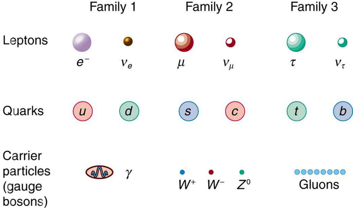 Esta figura mostra três tipos de partículas dispostas em três fileiras. Na fileira superior estão os léptons, na fileira do meio estão os quarks e na fileira inferior estão as partículas transportadoras. As linhas são divididas em três colunas, com as colunas rotuladas família um, família dois e família três, da esquerda para a direita. Na família um estão os neutrinos de elétrons e elétrons, os quarks ascendente e descendente e o fóton e o upsilon. Na família dois estão o neutrino do múon e do múon, os quarks estranhos e encantados e o W mais, W menos e Z zero. Na família três estão os neutrinos tau e tau, os quarks superiores e inferiores e os glúons.