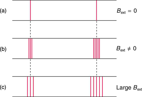 A figura mostra o efeito do campo magnético nas linhas espectrais. No primeiro caso, duas linhas espectrais são mostradas quando não há campo magnético externo. No segundo caso, quando o campo magnético é aplicado, as linhas espectrais se dividem em várias linhas; a linha à esquerda se divide em três linhas. A linha à direita se divide em cinco. No terceiro caso, o campo magnético é grande. A linha esquerda é novamente dividida em três linhas e a direita em cinco, mas as linhas divididas estão mais afastadas do que quando o campo magnético externo não é tão forte.