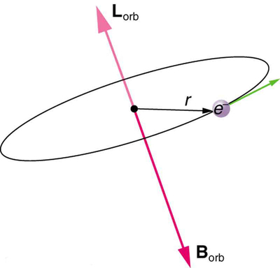 A figura mostra um elétron viajando em uma órbita circular com raio r. Um suborbe do campo magnético B é orientado para baixo e o suborbe do momento angular orbital L é orientado ao longo da mesma linha, mas para cima, em uma direção oposta à sub-esfera B.
