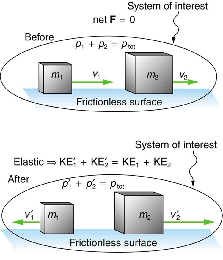 The system of interest contains a smaller mass m sub1 and a larger mass m sub2 moving on a frictionless surface. M sub 2 moves with velocity V sub 2 and momentum p sub 2 and m sub 1 moves behind m sub 2, with velocity V sub 1 and momentum p sub 1 toward the right direction. P 1 plus P 2 equals p total. The net force is zero. After collision m sub 1 moves toward the left with velocity V sub 1 while m sub 2 moves toward the right with velocity V sub 2 on the same frictionless surface. The momentum of m sub 1 becomes p 1 prime and m 2 becomes p 2 prime now. P 1 prime plus p 2 prime equals p total.