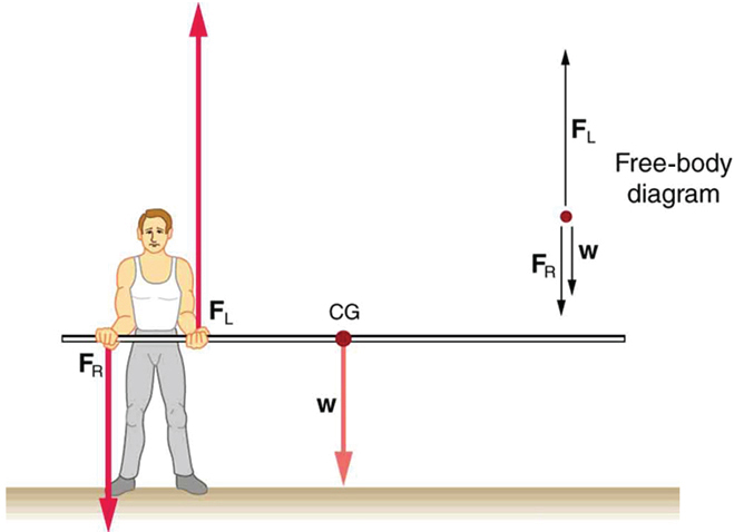 A pole vaulter is standing on the ground holding a pole from one side with his two hands. The centre of gravity of the pole is to the left of the pole vaulter. The weight W is shown as an arrow downward at center of gravity. The reaction F sub R is shown with a vector pointing downward from the man's right hand and F sub L is shown with a vector in upward direction at the location of the man's left hand. A free body diagram of the situation is shown on the top right side of the figure.
