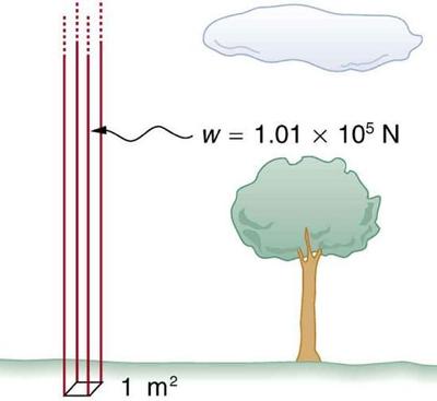 Figure shows a column of air exerting a weight of one point zero one times ten to the power five newtons on a rectangular patch of ground of one square meter cross section.