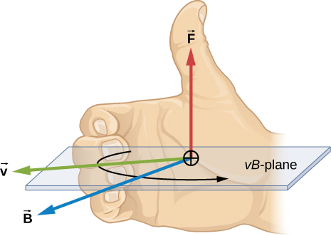 Uma ilustração da regra da mão direita. A palma da mão direita está voltada para o mesmo campo, B, neste caso fora da página. Os dedos da mão direita apontam na direção de v, neste caso para a esquerda, e se curvam em direção a B, girando v em B. O polegar da mão direita aponta na direção da força, neste caso para cima.