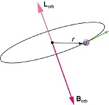 7: Orbital Angular Momentum