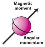 9: Spin Angular Momentum