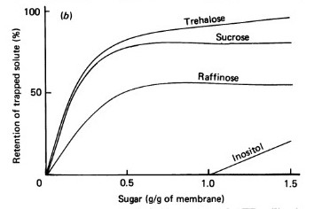 Affect of sugars vs. retention.jpg