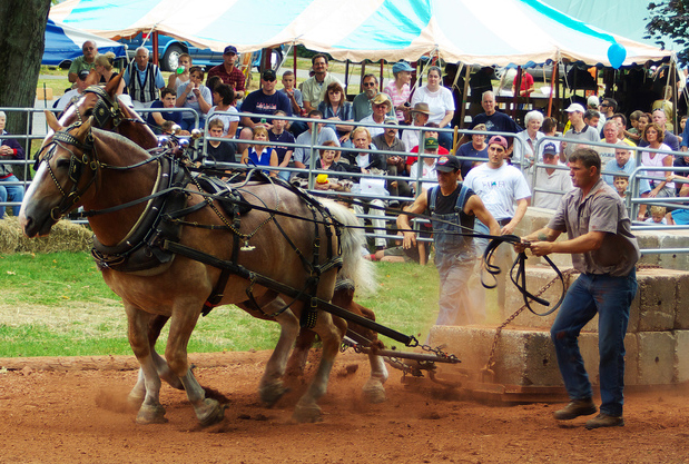 Uma fotografia de cavalos puxando uma carroça carregada em uma feira.