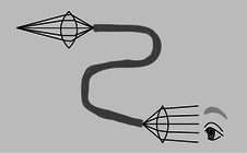 total-internal-endoscope.png