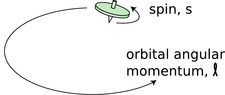 spin-vs-orbital.png