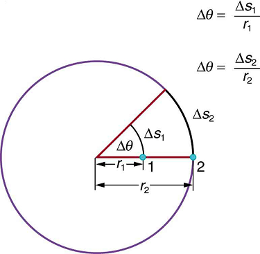 A circle is shown. Two radii of the circle, inclined at an acute angle delta theta, are shown. On one of the radii, two points, one and two are marked. The point one is inside the circle through which an arc between the two radii is shown. The point two is on the circumference of the circle. The two arc lengths are delta s one and delta s two respectively for the two points.