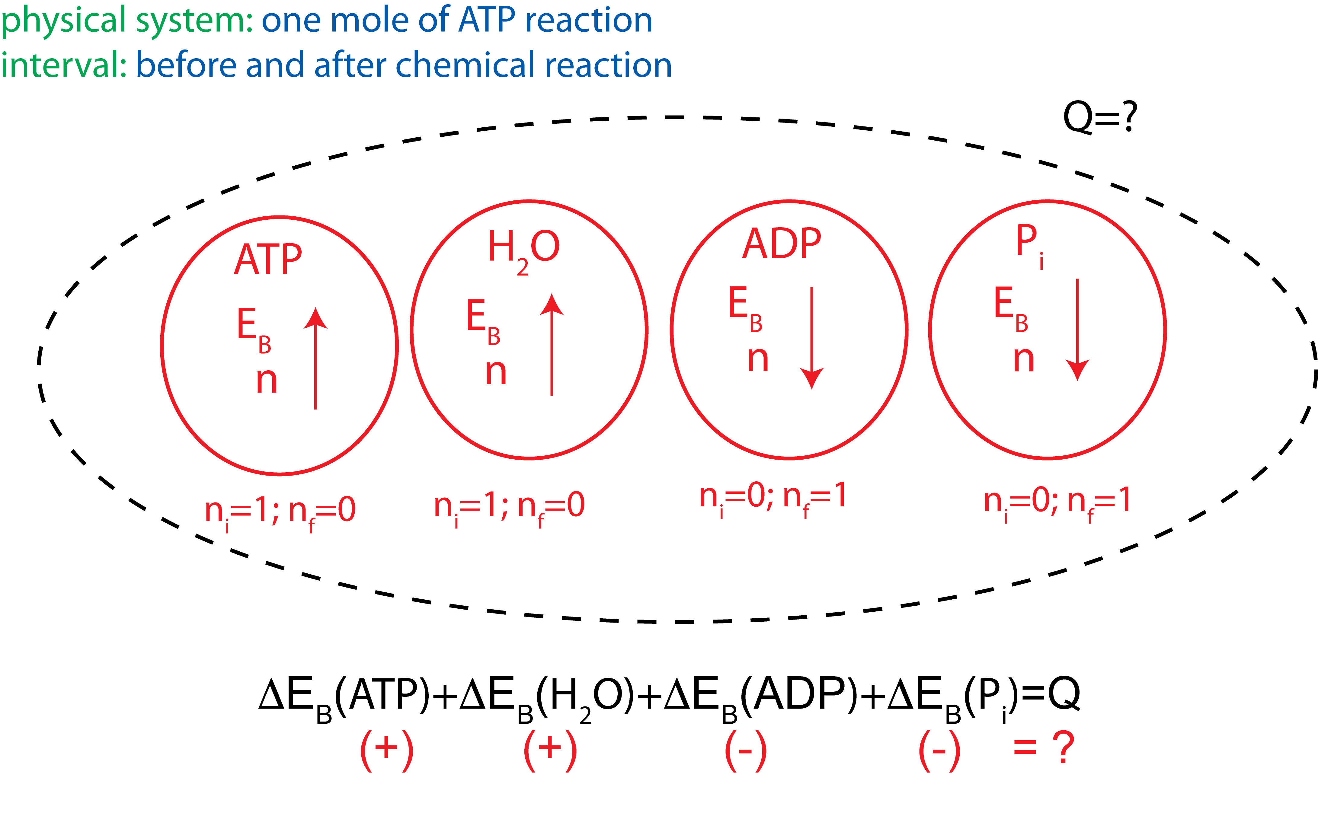 EI-diagram-ATP.png