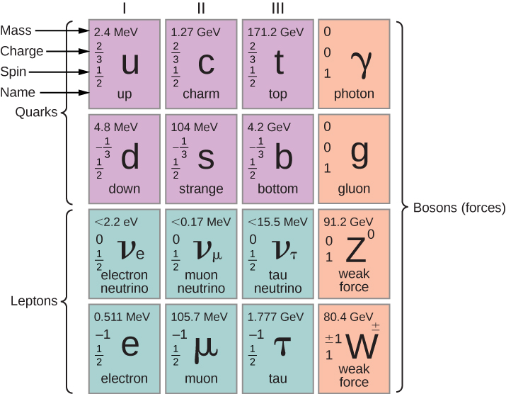 Esta é uma tabela com quatro linhas e quatro colunas. As três primeiras células na primeira e na segunda fileiras são rotuladas como quarks. As três primeiras células na terceira e quarta fileiras são rotuladas como léptons. A última coluna é rotulada como bósons, forças. Cada célula tem o nome de uma partícula, é símbolo, massa, carga e rotação. Na primeira linha, esses valores, nessa ordem, são: célula um: up, u, 2.4 MeV, 2 por 3, 1 por 2; célula dois: charm, c, 1,27 GeV, 2 por 3, 1 por 2; célula três, top, t, 171,2 GeV, 2 por 3, 1 por 2; célula quatro: fóton, gama, 0, 0, 1. Na linha dois, esses valores, nessa ordem, são: célula um: abaixo, d, 4,8 MeV, menos 1 por 3, 1 por 2; célula dois: estranho, s, 104 MeV, menos 1 por 3, 1 por 2; célula três: inferior, b, 4,2 GeV, menos 1 por 3, 1 por 2; célula quatro: glúon, 0, 0, 1. Na linha três, esses valores, nessa ordem, são: célula um: neutrino eletrônico, v subscrito e, menor que 2,2 eV, 0, 1 por 2; célula dois: neutrino de múon, v subscrito mu, menor que 0,17 MeV, 0, 1 por 2; célula três: neutrino tau, v subscrito tau, menor que 15,5 MeV, 0, 1 por 2; célula quatro: força fraca, z aumentado para 0, 91,2 GeV, 0,1. Na linha quatro, esses valores, nessa ordem, são: célula um: elétron, e, 0,511 MeV, menos 1, 1 por 2; célula dois: muon, mu, 105,7 MeV, menos 1, 1 por 2; célula três: tau, tau, 1,777 GeV, menos 1, 1 por 2; força fraca, w mais menos, 80,4 GeV, mais nós 1, 1.