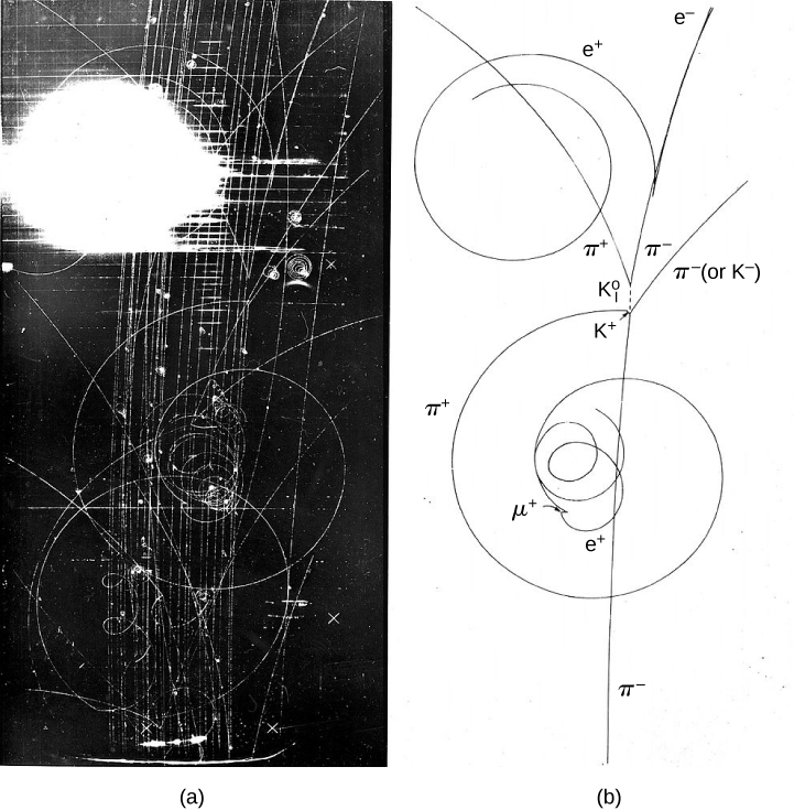 La figure a montre une photographie sur fond noir ornée d'un motif blanc de tourbillons et de lignes. Il y a une tache blanche brillante en haut à gauche. La figure b montre le même motif qu'un dessin au trait. Il est étiqueté à différents endroits avec des noms de particules.