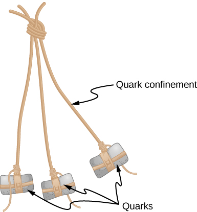 Three strings are tied together at one end. A weight is attached to the other end of each. The strings are labeled quark confinement. The weights are labeled quarks.