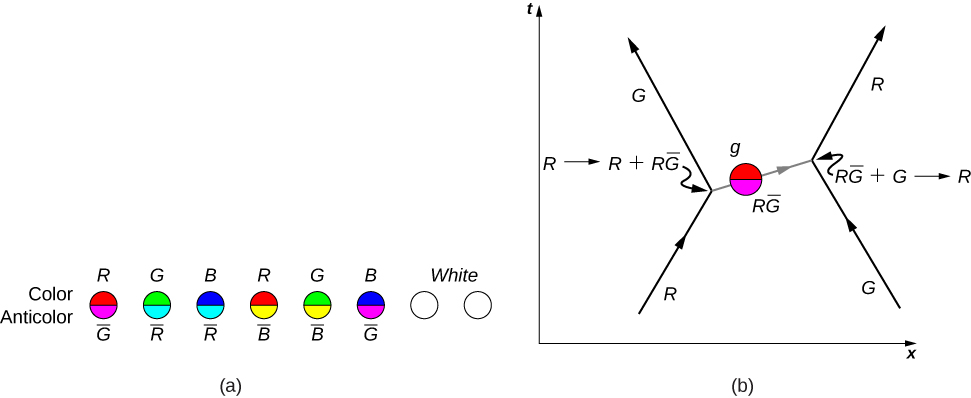 La figure a montre 8 cercles d'affilée. Les deux derniers cercles sont blancs. Les moitiés supérieure et inférieure de chacun des six premiers cercles sont de couleur différente. Les moitiés supérieures sont étiquetées couleur et les moitiés inférieures sont étiquetées anticolor. Les moitiés supérieure et inférieure de chaque cercle, de gauche à droite, sont les suivantes : première : barre R en rouge et barre G en magenta, deuxième : barre G verte et barre R en cyan, troisième : barre B bleue et barre R en cyan, quatrième : barre R en rouge et barre B en jaune, cinquième : barre G en vert et barre B en jaune, sixième : barre B bleue et barre G marquée magenta. La figure b est un graphique de t par rapport à x. Une flèche pointant vers le haut et vers la droite est étiquetée R. Son extrémité rejoint la base de la flèche G, qui pointe vers le haut et vers la gauche. La jonction est étiquetée de R à R plus R G bar. À leur droite se trouve une flèche G pointant vers le haut et vers la gauche. Son extrémité rejoint la base de la flèche R. La jonction est étiquetée à partir de la barre RG plus G vers R. Les deux jonctions sont reliées par une flèche pointant vers la droite. Le long de la flèche se trouve un cercle intitulé barre RG.