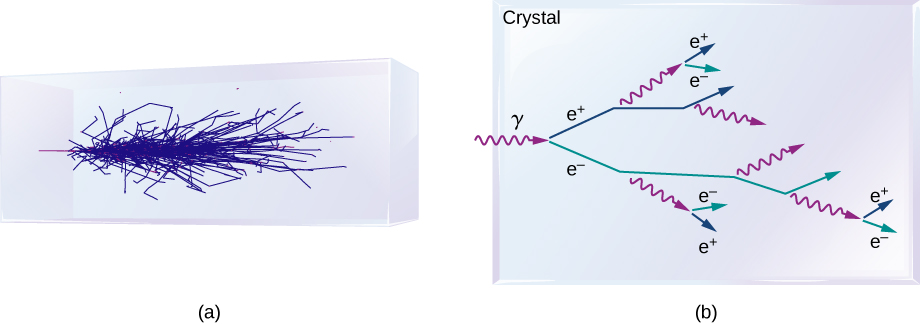 La figure a montre un motif de lignes bleues à l'intérieur d'un cristal rectangulaire. La figure b montre un cristal. Un rayon gamma y pénètre et se divise en deux rayons, e plus et e moins. Le rayon e plus se divise ensuite en un rayon gamma et un rayon e plus. Le rayon e moins se divise en un rayon gamma et un rayon e moins. La scission se poursuit de la même manière.