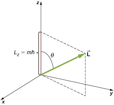 يظهر نظام إحداثيات x y z. يقع المتجه L بزاوية ثيتا على المحور z الموجب وله مكون z الموجب L sub z يساوي m في h bar. مكونات x و y موجبة ولكنها غير محددة.