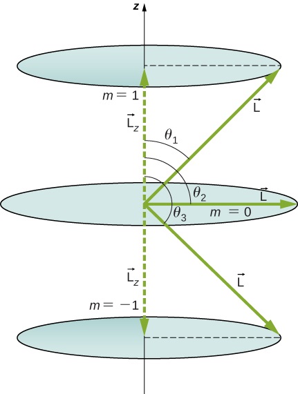 The image shows three possible values of a component of a given angular momentum along z-axis. The upper circular orbit is shown for m sub t = 1 at a distance L sub z above the origin. The vector L makes an angle of theta one with the z axis. The radius of the orbit is the component of L perpendicular to the z axis. The middle circular orbit is shown for m sub t = 0. It is in the x y plane. The vector L makes an angle of theta two of 90 degrees with the z axis. The radius of the orbit is L. The lower circular orbit is shown for m sub t = -1 at a distance L sub z below the origin. The vector L makes an angle of theta three with the z axis. The radius of the orbit is the component of L perpendicular to the z axis.