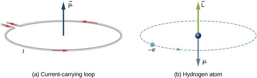 图 (a) 显示了一个载流回路。 从上方看，回路的电流是逆时针循环。 循环中心显示了指向上方的向量 mu。 图 (b) 将氢原子显示为电子，表示为一个小球，标记为减去 e，形成逆时针环形轨道，从上方看。 轨道中心显示了球体、指向下方的向量 mu 和指向上方的向量 L。