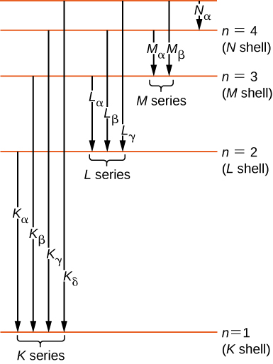 Different energy levels are shown in the form of horizontal lines. The line at the bottom is labeled as energy level n equal to one, or the K shell. Above this line, another horizontal line is labeled as energy level for n equal or the L shell. Similarly, other lines are shown for the M and N shells. As we move from bottom to the top, the distance between the lines decreases. The transitions are shown as arrows from one line down to a lower line and are labeled. Transitions from n=2, 3, 4, and 5 to the n=1 level form the K series and are, in order, the K sub alpha, K sub beta, K sub gamma, and K sub delta lines. Transitions from n= 3, 4, and 5 to the n=2 level form the L series and are, in order, the L sub alpha, L sub beta, and L sub gamma lines. Transitions from n= 4 and 5 to the n=3 level form the M series and are, in order, the M sub alpha and L sub beta lines. The transition fro n=5 to the n=4 level is also shown and labeled as N sub alpha.