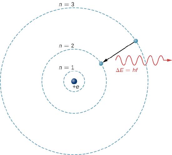 The hydrogen atom is represented as a proton in the nucleus, charge plus e, and an electron in a circular orbit around the nucleus. Three orbits, labeled n =1, n = 2, and n = 3 in order of increasing radius, are shown. An arrow indicates an electron transitioning from the outer to the middle orbit, and a wave labeled delta E equals h f is shown near the transition, leaving the atom.