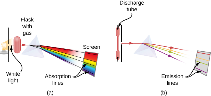 Les figures A et B montrent les schémas d'une installation expérimentale pour observer les raies d'absorption. Dans la figure A, la lumière blanche traverse le prisme et se sépare en longueurs d'onde. Dans le spectre de la lumière passée, certaines longueurs d'onde sont manquantes, qui sont considérées comme des raies d'absorption noires dans le spectre continu de l'écran de visualisation. Dans la figure B, la lumière émise par le gaz dans le tube à décharge traverse le prisme et se sépare dans les longueurs d'onde. Dans le spectre de la lumière passée, seules des longueurs d'onde spécifiques sont présentes, qui sont considérées comme des raies d'émission colorées sur l'écran.