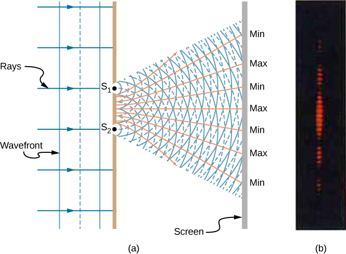 Left picture is a schematic drawing of the double-slit experiment. Monochromatic light enters the two slits S1 and S2. Light spreads out after travelling through the slits with the waves overlapping constructively and destructively. Right picture is a photograph of the fringe pattern that shows the bright spots aligned as a line.