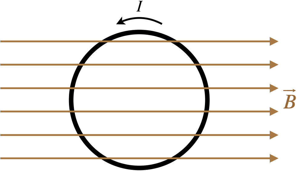 circular_loop_in_field.png