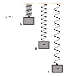 تم توضيح نظام الزنبرك الكتلي العمودي. يتم ربط الطرف العلوي من الزنبرك بالسقف. كتلة الكتلة m متصلة بالطرف السفلي. يتم رسم الزنبرك في موقعين. على اليسار، تكون الكتلة في وضع التوازن. على يمين هذا، يتم رسم الزنبرك مع سحب الكتلة لأسفل عن طريق السحب الفرعي. يُصنف موضع الكتلة هذا على أنه h يساوي صفرًا. يظهر رسم بياني لـ y كدالة لـ X على الرسوم التوضيحية الصحيحة، حيث يساوي y صفرًا بمحاذاة موضع التوازن في الرسوم التوضيحية. الرسم مُصمم على شكل جيبي، حيث يبلغ الحد الأدنى y x=0 وحتى مع وضع الكتلة الأدنى في الرسوم التوضيحية.