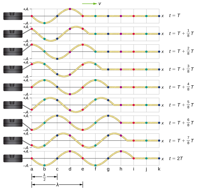 La figure montre les différents stades d'une onde transversale se propageant vers la droite, pris à des intervalles de 1 sur 8 T. Des points marquent des points sur l'onde. Ils se déplacent vers le haut et vers le bas de — A à +A. Un point qui se trouve à la position d'équilibre au temps t=T se déplace vers +A au temps T=t plus 2 sur 8 T. Il revient ensuite à la position d'équilibre au temps t= T plus 4 sur 8 T. Il passe à —A au temps t=T plus 6 par 8 T et revient à la position d'équilibre au temps t=2t. De même, tous les points reprennent leur position initiale à l'instant t=2t.