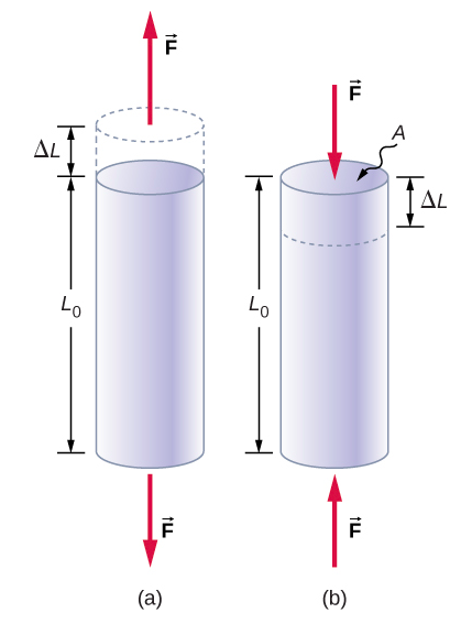 A Figura A é um desenho esquemático de um cilindro com um comprimento L0 que está sob a tensão de tração. Duas forças nos diferentes lados do cilindro aumentam seu comprimento em Delta L. A Figura B é um desenho esquemático de um cilindro com um comprimento L0 que está sob a deformação compressiva. Duas forças nos diferentes lados do cilindro reduzem seu comprimento em Delta L.