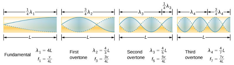 Picture is a diagram of the fundamental and three lowest overtones for a tube closed at one end. Fundamental has one-fourth of its wavelength in a tube. First overtone has three-fourth of its wavelength in a tube, second overtone has five-fourth of its wavelength in a tube, third overtone has seven-fourth of its wavelength in a tube. All have maximum air displacements at the open end and none at the closed end.