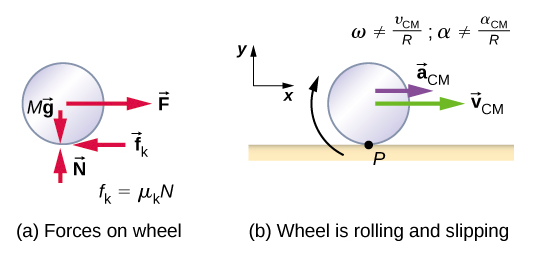 Figure a shows a free body diagram of a wheel, including the location where the forces act. Four forces are shown: M g is a downward force acting on the center of the wheel. N is an upward force acting on the bottom of the wheel. F is a force to the right, acting on the center of the wheel, and f sub k is a force to the left acting on the bottom of the wheel. The force f sub k is equal to mu sub k times N. Figure b is an illustration of the wheel rolling and slipping on a horizontal surface. The wheel has a clockwise rotation, an acceleration to the right of a sub C M and a velocity to the right of v sub V M. omega does not equal v sub C M over R and alpha does not equal a sub C M over R. A coordinate system with positive x to the right and positive y up is shown.