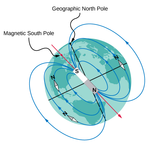 An illustration of the magnetic field of the earth. The magnetic axis is tilted slightly away from the rotation axis. The end of the model magnet near the geographic north pole is a south (S) pole, but the location of the magnetic axis at the earth’s surface nearest the geographic north pole is called the Magnetic North Pole. The field lines form loops that come out of the north pole of the magnet (near the earth’s geographic south pole) and into the magnet’s south (near earth’s geographic north) pole. Compasses placed in the field align with the field lines and point north.