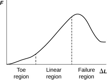 The strain on mammalian tendon is shown by a graph, with tensile stress along the x axis and strain along the y axis. The stress strain curve obtained has three regions, namely, toe region at the bottom, linear region between, and failure region at the top.
