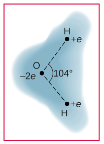 Une représentation schématique du nuage d'électrons externe d'une molécule d'eau neutre est présentée. Trois atomes se trouvent aux sommets d'un triangle. L'atome d'hydrogène a une charge q positive et l'atome d'oxygène a moins deux charges q, et l'angle entre la droite joignant chaque atome d'hydrogène à l'atome d'oxygène est de cent quatre degrés. La densité des nuages est montrée comme étant plus élevée au niveau de l'atome d'oxygène.