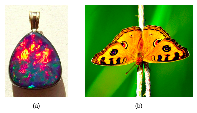 图 a 是一张反映各种颜色的蛋白石吊坠的照片。 图 b 是一只蝴蝶的照片。