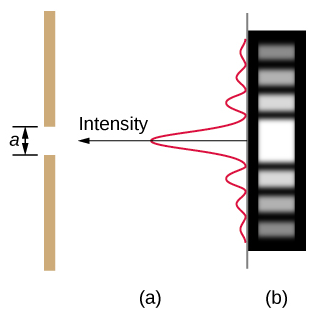 Figure a shows a vertical line on the left side. This has a gap of length a. A vertical wave is shown on the right. The wave has a high crest in the center, corresponding to the slit. The wave attenuates on both top and bottom. An arrow along the central crest of the wave, pointing towards the slit is labeled intensity. Figure b shows a strip with horizontally marked light and dark lines. The central line, corresponding to the slit is the brightest.