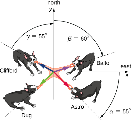 Illustration of 4 dogs pulling on a toy. The toy is at the origin of a coordinate system, with plus x aligned with east and plus y with north. Astro is pulling at an angle alpha which is 55 degrees clockwise from the plus x (east) direction. Balto is pulling at an angle beta which is 60 degrees clockwise from the plus y (north) direction. Clifford is pulling at an angle gamma which is 55 degrees counterclockwise from the plus y (north) direction. Dug is pulling in an unspecified direction in the third quadrant.