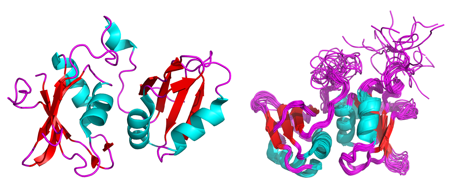 Crystal and NMR solution structure of the neuronal isoform of the polypyrimidine tract binding protein (nPTB)