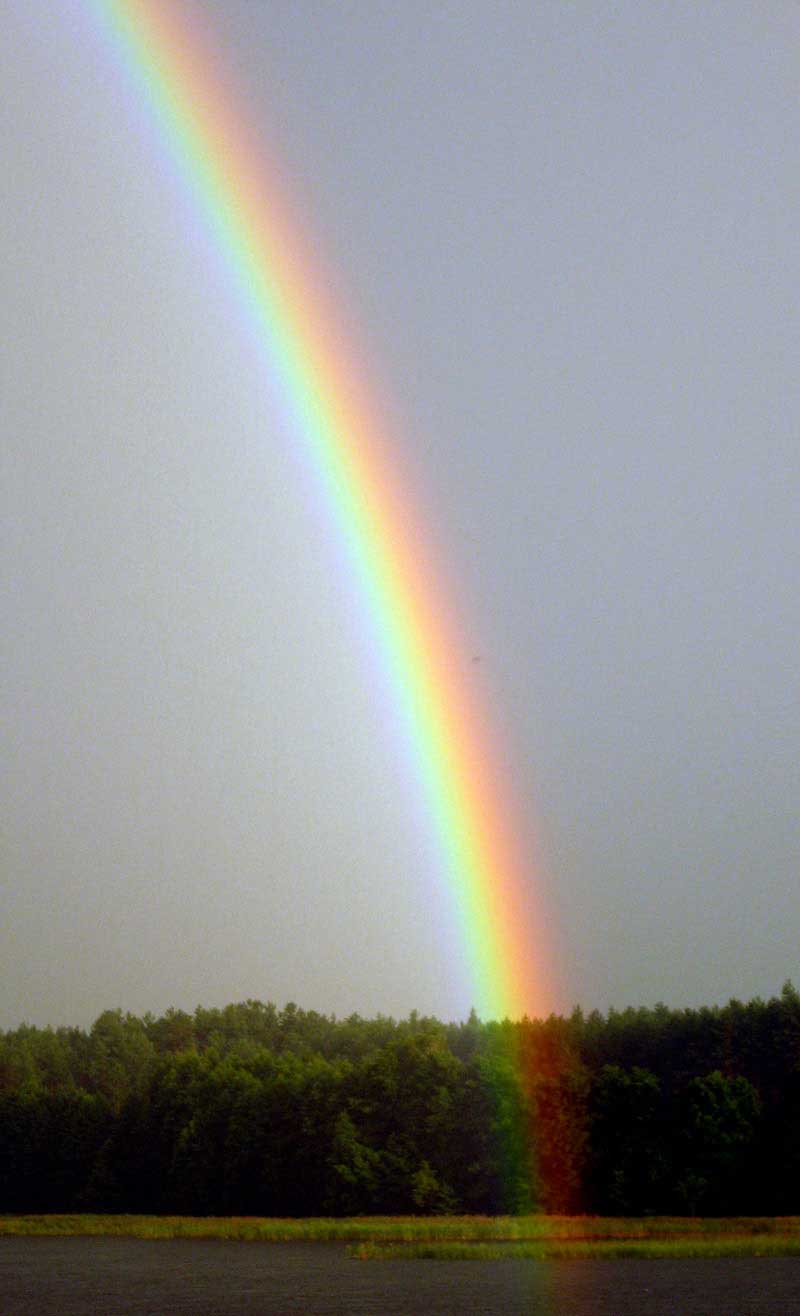 A rainbow is shown. Raindrops act as prisms, breaking the sunlight into its component colors.